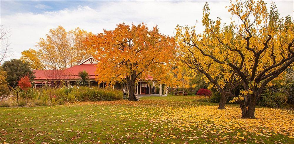 Hartley Homestead Boutique Bed & Breakfast Clyde Bagian luar foto