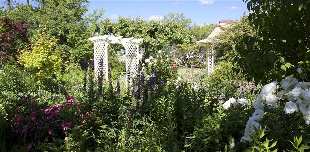 Hartley Homestead Boutique Bed & Breakfast Clyde Bagian luar foto