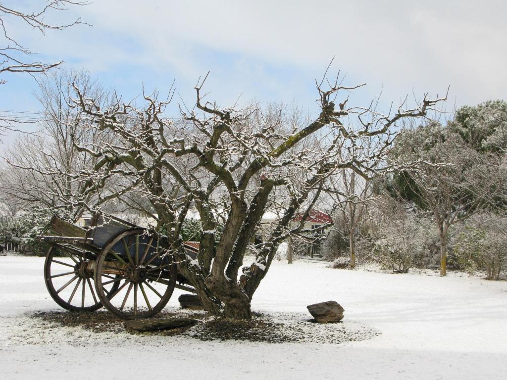 Hartley Homestead Boutique Bed & Breakfast Clyde Bagian luar foto